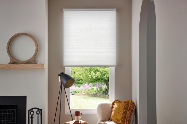 Lutron Shades