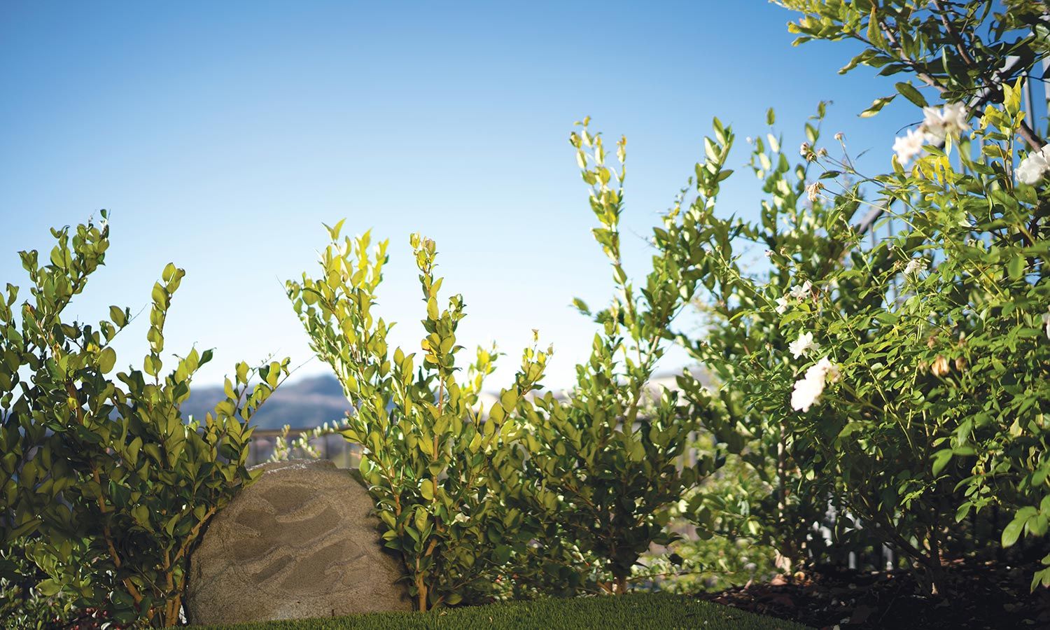 A Sonance Rock Speaker among green bushes